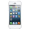Apple iPhone 5 16Gb white - Красноармейск
